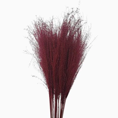 Iarba Miscanthus uscată XTR Roșu în aranjament floral pentru restaurant