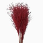 Iarba Miscanthus uscată XTR Roșu în aranjament floral pentru restaurant