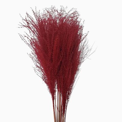 Iarba Miscanthus uscată XTR Roșu în aranjament floral pentru restaurant