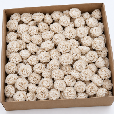 Pachet en-gross Ranunculus Ming 6cm Alb Natur 100 buc