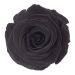 Trandafir criogenat RA 5cm Negru