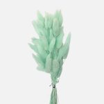 Buchet Lagurus Aqua set x50