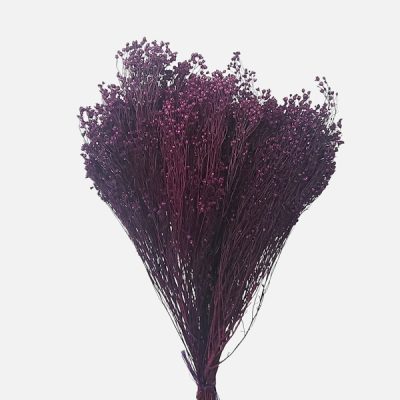 Flori uscate Broom Bloom premium 100g Mov Vanata