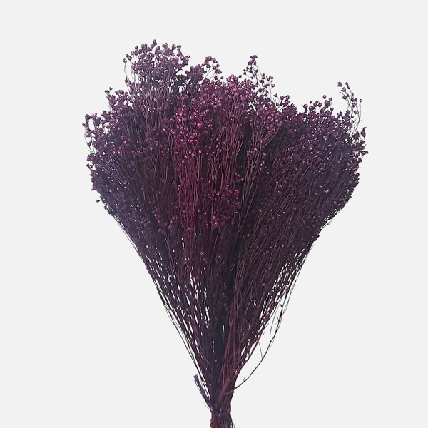 Flori uscate Broom Bloom premium 100g Mov Vanata Flori uscate Broom Bloom premium 100g Mov Vanata