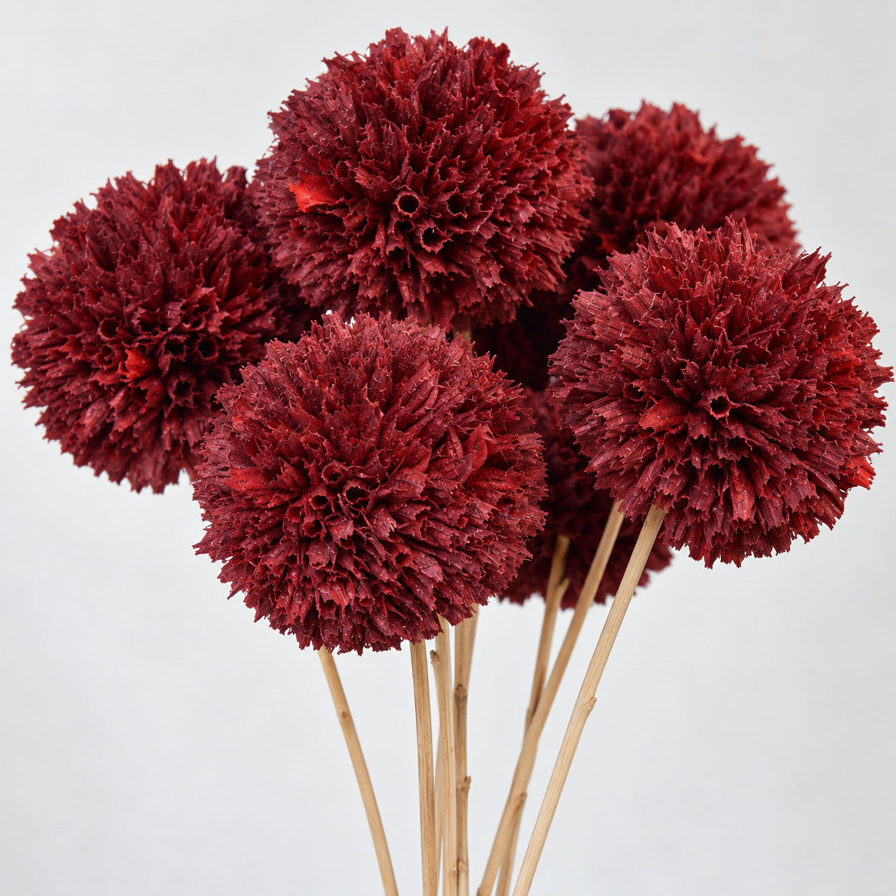 Artflora sustine creativitatea! Artflora sustine creativitatea!