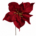 Craciunita Catifea, 28cm Bordo