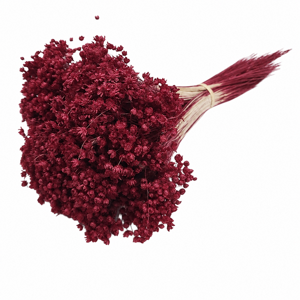 Glixia Marcela PR 50g 30cm Bordo Glixia Marcela PR 50g 30cm Bordo